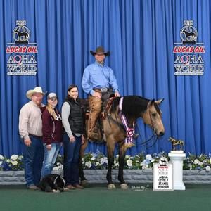 Meet your Posher, Steve